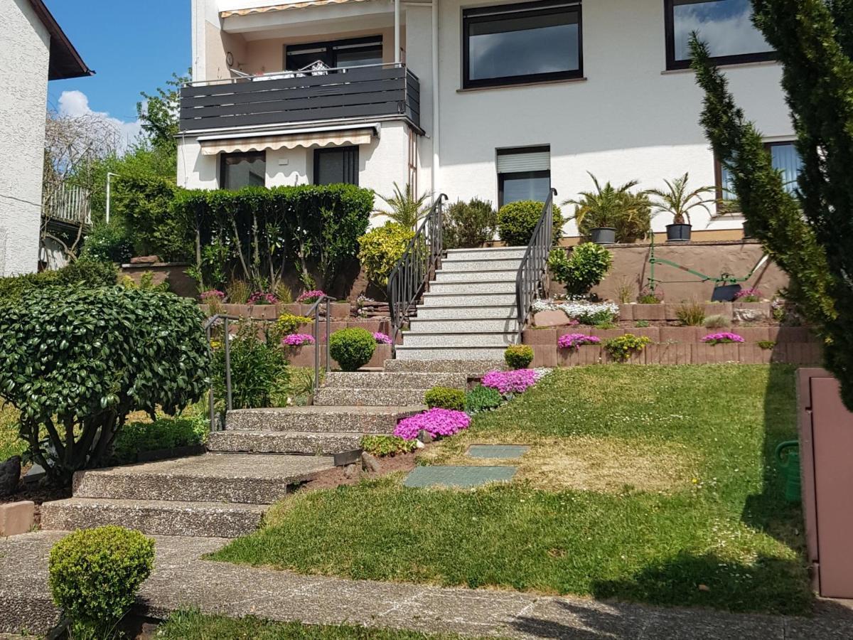 Apartment Am Kaffelstein - Mit Terrasse Kreuzwertheim Exteriör bild